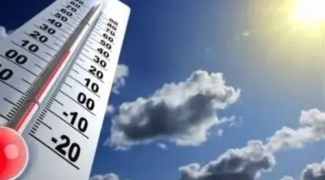 طقس اليوم .. أجواء ربيعية معتدلة وتحذير من الشبورة على الطرق